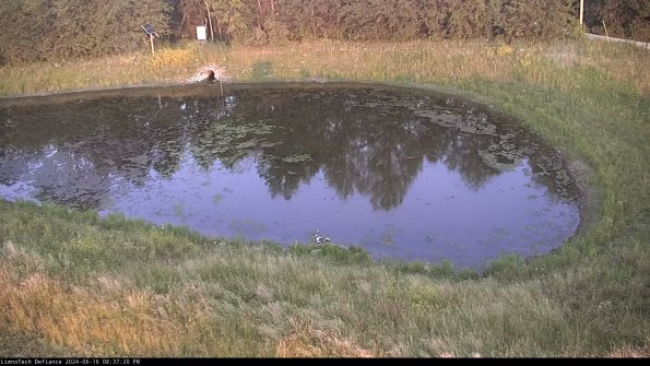 Basin Right_24-06-16_20-37-21-38