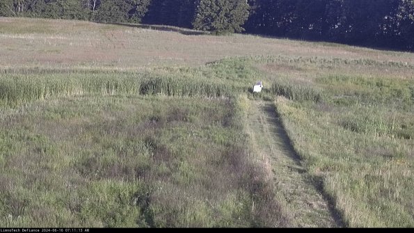 Cell 1 to 2_24-06-16_07-11-14-33