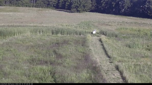 Cell 1 to 2_24-06-16_07-44-43-32