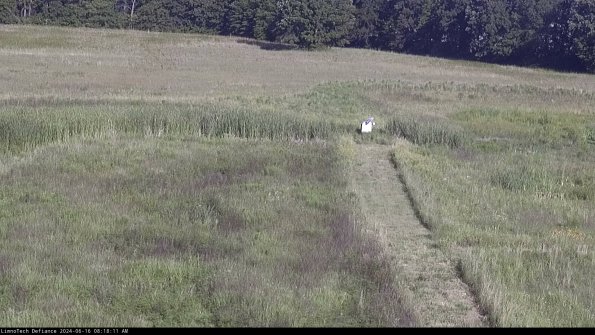 Cell 1 to 2_24-06-16_08-18-12-34