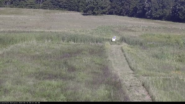 Cell 1 to 2_24-06-16_08-51-41-36