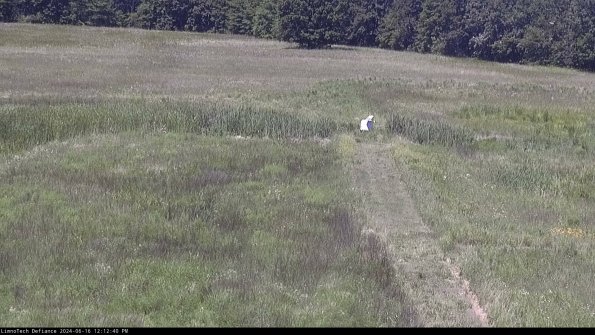 Cell 1 to 2_24-06-16_12-12-41-35