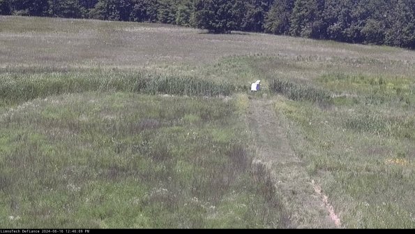 Cell 1 to 2_24-06-16_12-46-10-37