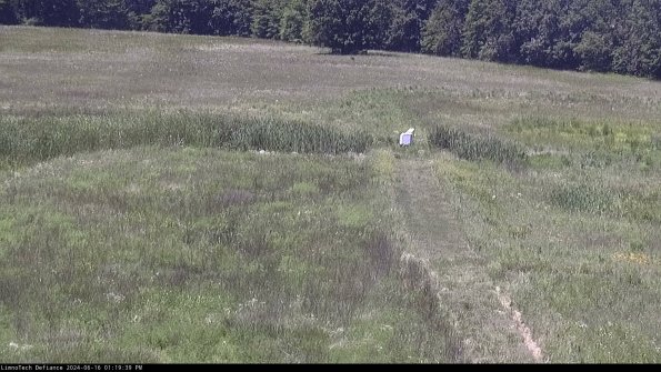 Cell 1 to 2_24-06-16_13-19-40-35