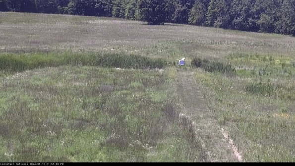 Cell 1 to 2_24-06-16_13-53-09-37