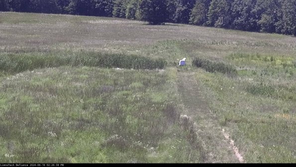 Cell 1 to 2_24-06-16_14-26-39-36