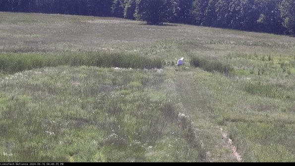 Cell 1 to 2_24-06-16_16-40-36-35