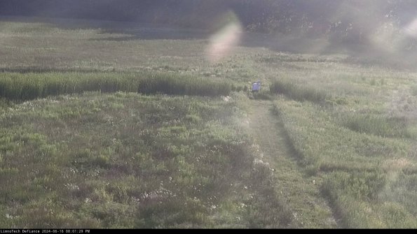 Cell 1 to 2_24-06-16_20-01-30-35