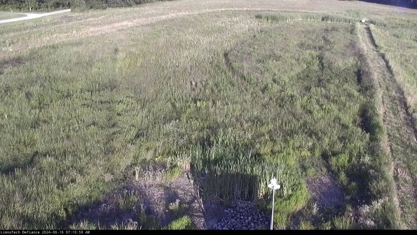 Cell 1_24-06-16_07-11-00-32