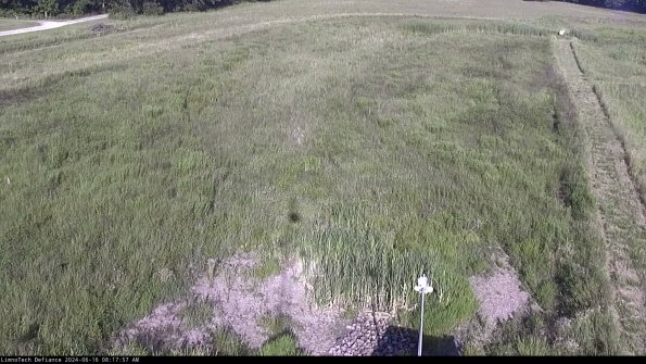 Cell 1_24-06-16_08-17-58-36