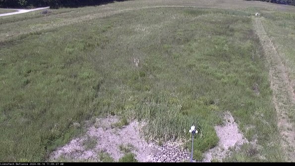 Cell 1_24-06-16_11-05-28-33