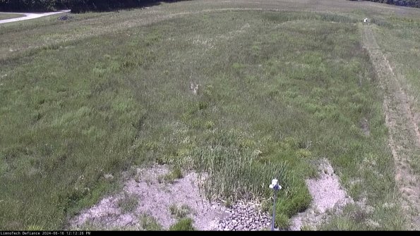 Cell 1_24-06-16_12-12-27-34