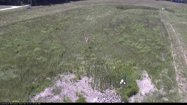 Cell 1_24-06-16_13-19-26-37