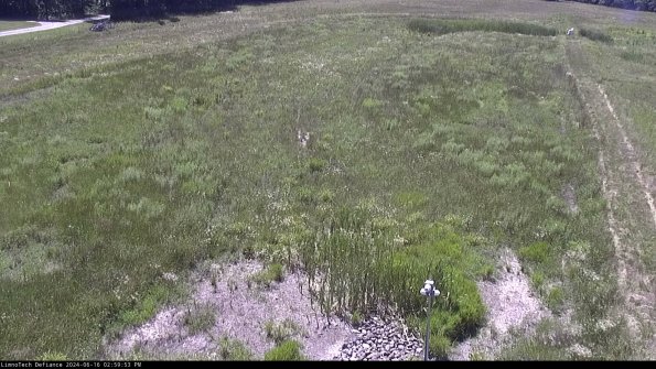 Cell 1_24-06-16_14-59-54-36