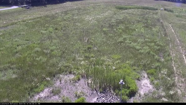 Cell 1_24-06-16_16-06-52-35