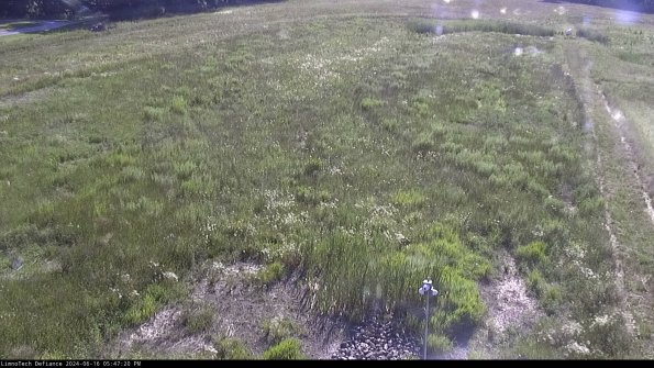 Cell 1_24-06-16_17-47-21-34