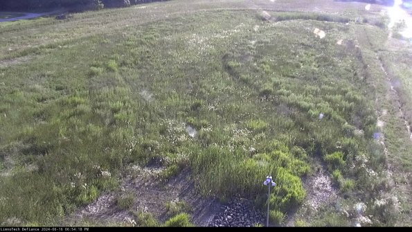 Cell 1_24-06-16_18-54-19-37