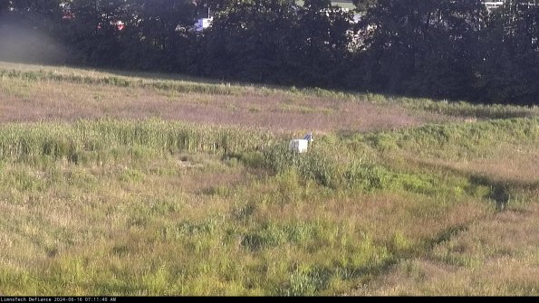 Cell 2 to 3_24-06-16_07-11-40-49