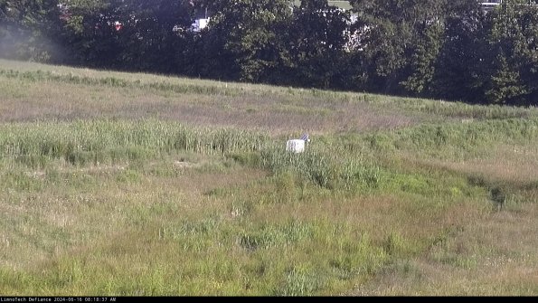 Cell 2 to 3_24-06-16_08-18-38-40