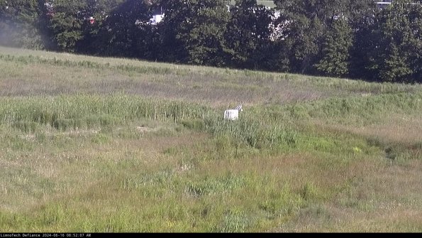 Cell 2 to 3_24-06-16_08-52-07-56