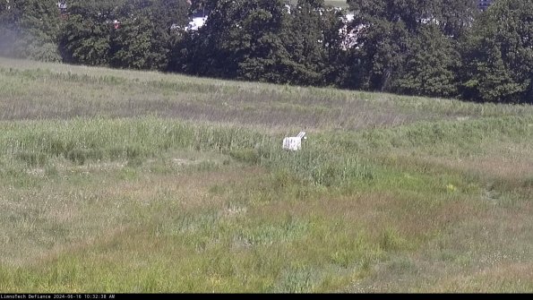 Cell 2 to 3_24-06-16_10-32-38-55