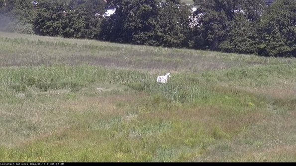 Cell 2 to 3_24-06-16_11-06-08-44