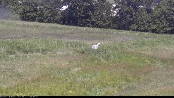 Cell 2 to 3_24-06-16_11-39-37-49