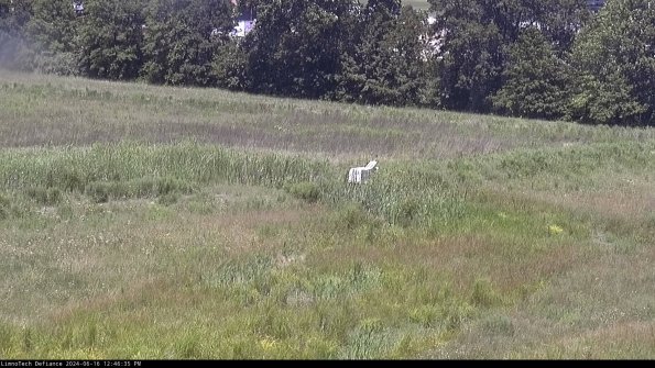 Cell 2 to 3_24-06-16_12-46-36-46