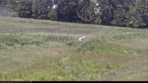 Cell 2 to 3_24-06-16_13-20-06-48