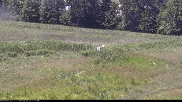 Cell 2 to 3_24-06-16_14-27-05-48