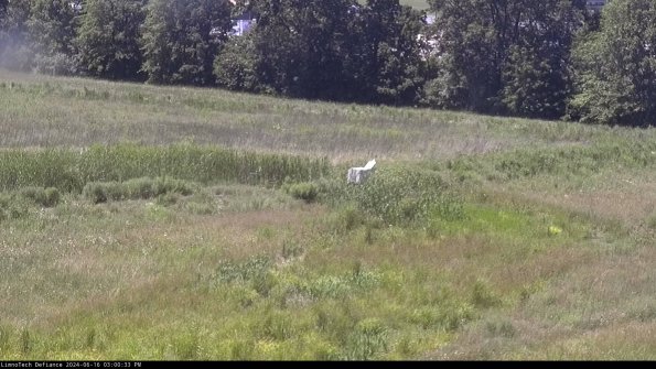 Cell 2 to 3_24-06-16_15-00-34-47