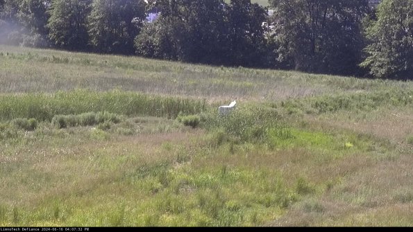 Cell 2 to 3_24-06-16_16-07-32-49