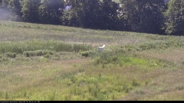 Cell 2 to 3_24-06-16_16-41-02-41