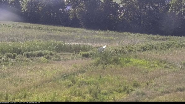 Cell 2 to 3_24-06-16_17-48-01-44