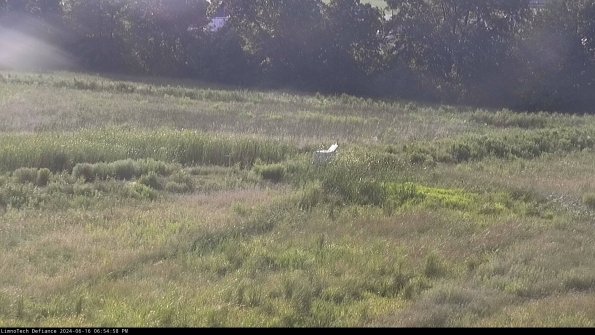 Cell 2 to 3_24-06-16_18-54-59-41