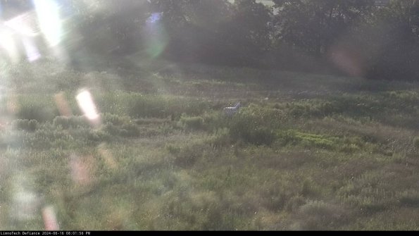 Cell 2 to 3_24-06-16_20-01-56-57