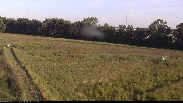 Cell 2_24-06-16_07-11-27-35