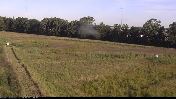 Cell 2_24-06-16_07-44-56-43