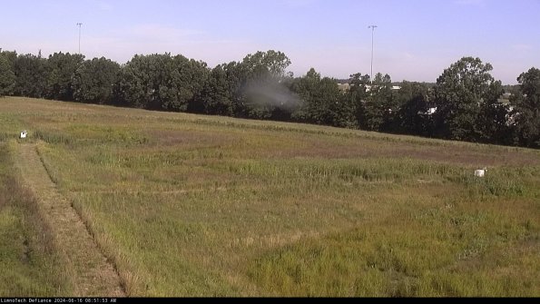 Cell 2_24-06-16_08-51-54-44