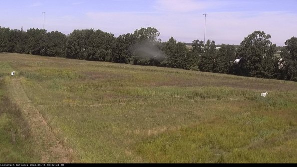 Cell 2_24-06-16_10-32-25-47