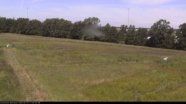 Cell 2_24-06-16_11-05-55-36