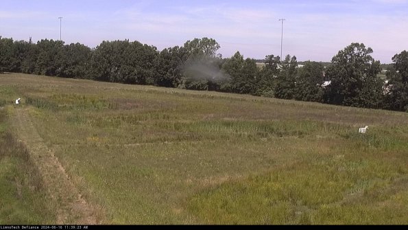 Cell 2_24-06-16_11-39-24-41