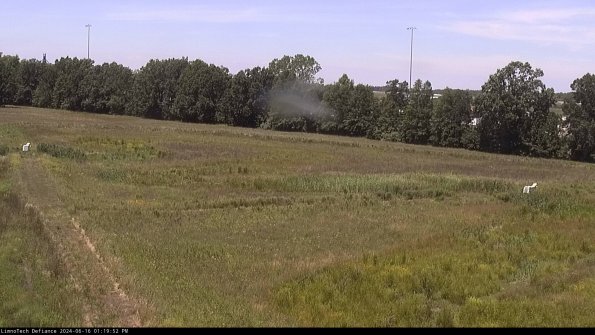 Cell 2_24-06-16_13-19-53-43