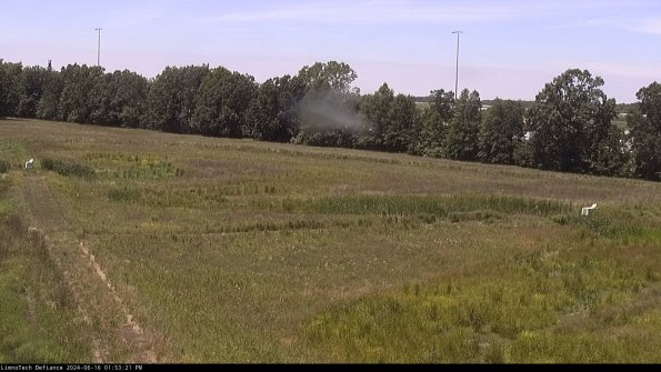 Cell 2_24-06-16_13-53-22-42