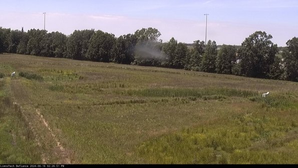 Cell 2_24-06-16_14-26-52-37