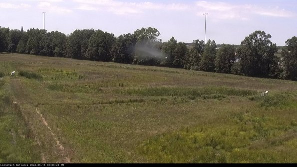 Cell 2_24-06-16_15-00-21-39