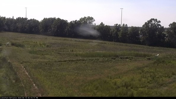 Cell 2_24-06-16_17-14-18-45