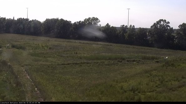 Cell 2_24-06-16_17-47-48-36