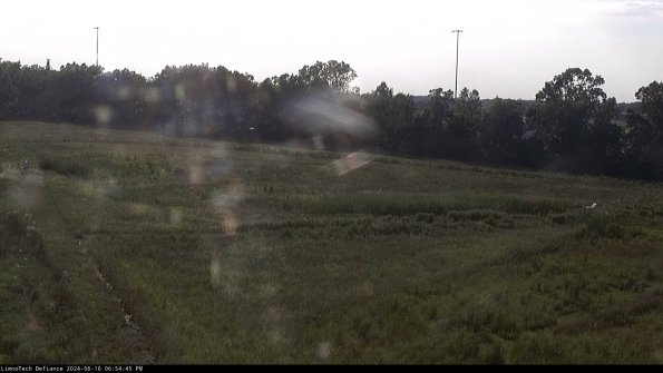 Cell 2_24-06-16_18-54-46-43