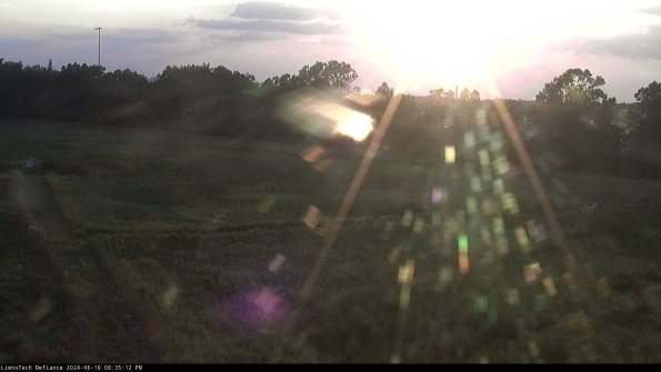 Cell 2_24-06-16_20-35-13-38